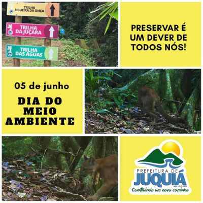 Dia Mundial do Meio Ambiente