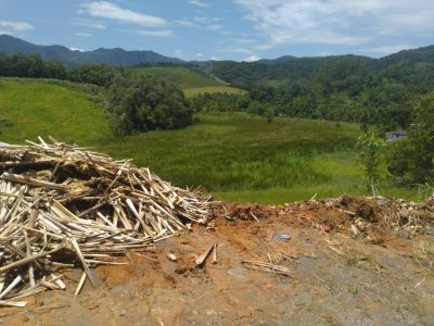 Elaboração do Plano Municipal de Gestão de Resíduos Sólidos - Fábricas de Palmito