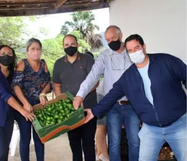 Foto Município Faz Entrega de 'Cesta Verde' para 300 Famílias