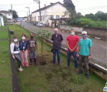 Foto Secretaria Municipal de Agricultura Realiza Plantio de Mudas em Comemoração à Semana do Meio Ambiente